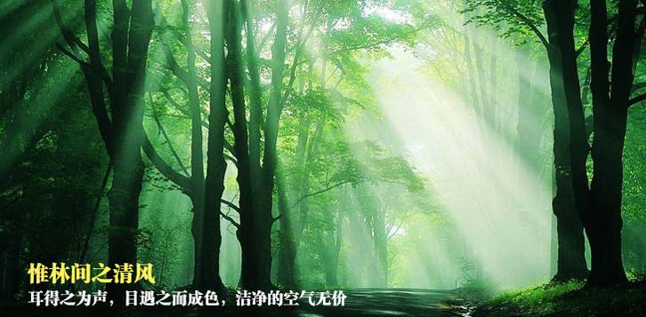 五一去杭州怎么樣？杭州千島湖五一游玩攻略